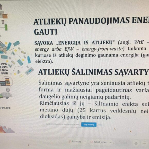 MEPA SEMINARAS - „ŽALIASIS KURSAS“